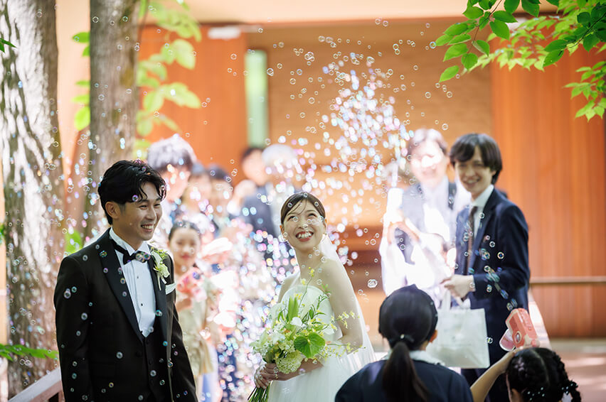 夏の森の記憶14