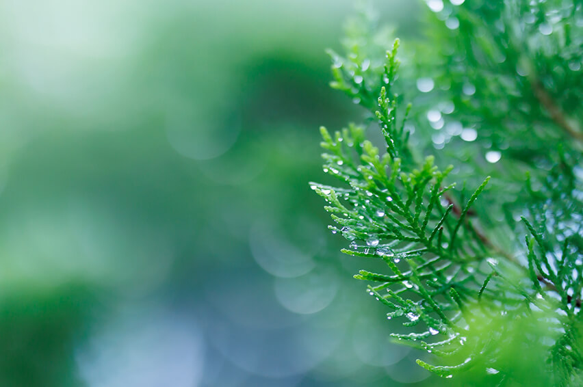 音楽で繋がるケッコンシキ16