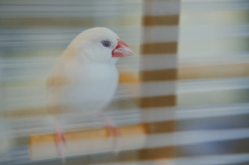 集って話して味わって1