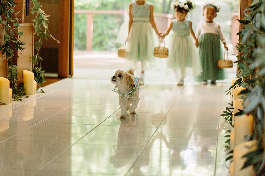 ワンちゃんフレンドリー相談会2