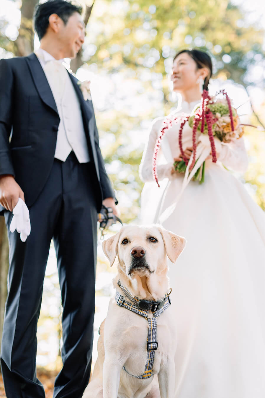 ワンちゃんフレンドリー相談会3