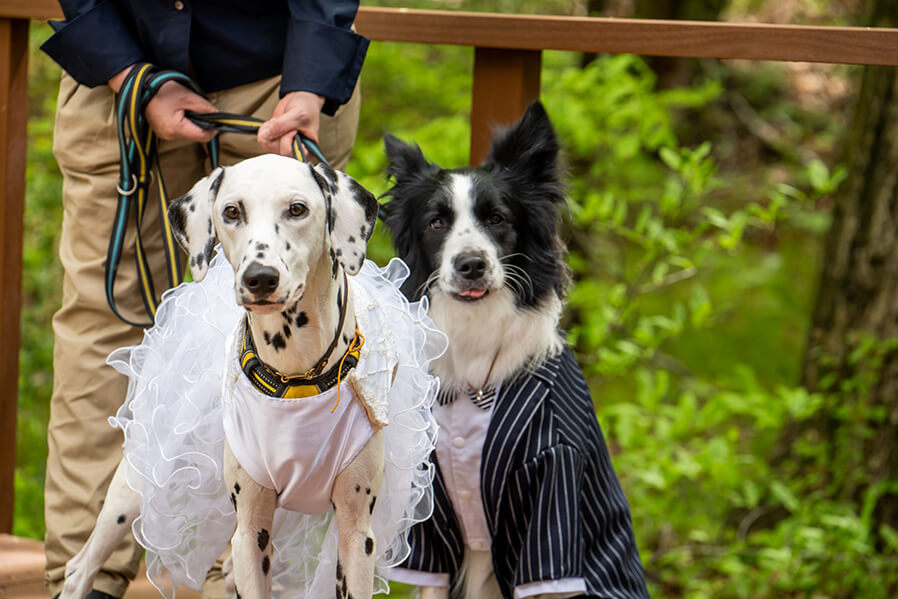 ワンちゃんフレンドリー相談会