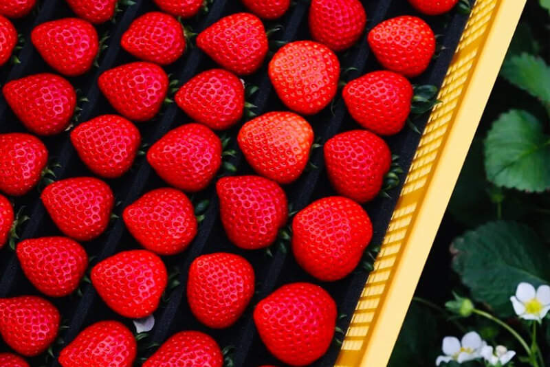 あまりん農家U FIRM!